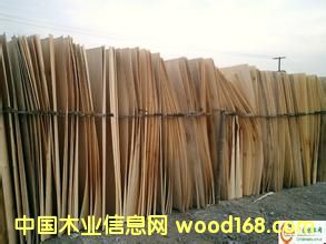 �c���鿴ľƤľ�Së�^�Ŵ�DƬ