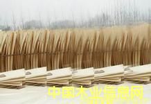 �c���鿴ľƤľ�Së�^�Ŵ�DƬ