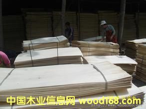 �c���鿴ľƤľ�Së�^�Ŵ�DƬ