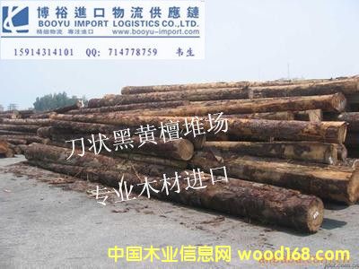 ������S̴