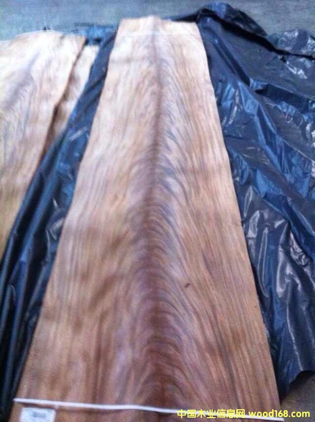 ����Ԕ��(x��)��B