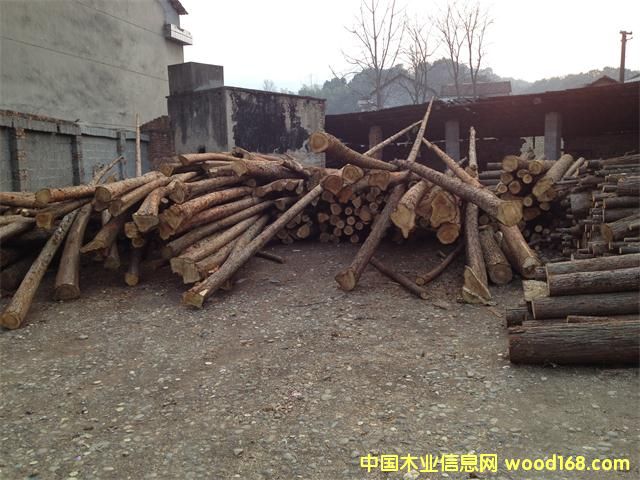 ɼľ��Ԕ����B