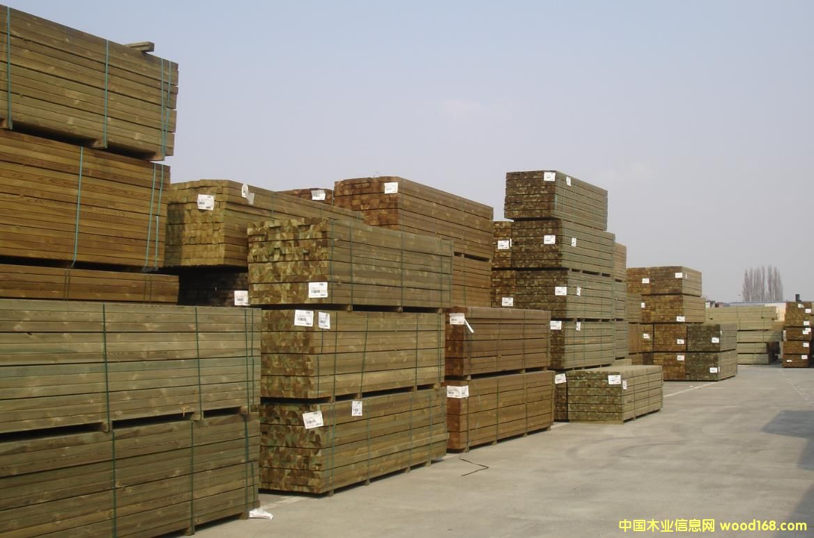 ����ľ��Ԕ����B