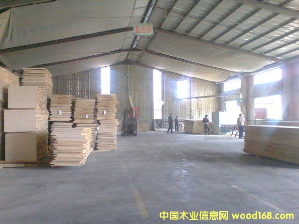 �S�^(q��)��Ԕ����B