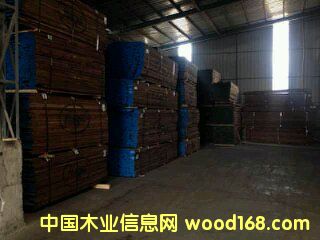 �����ں���