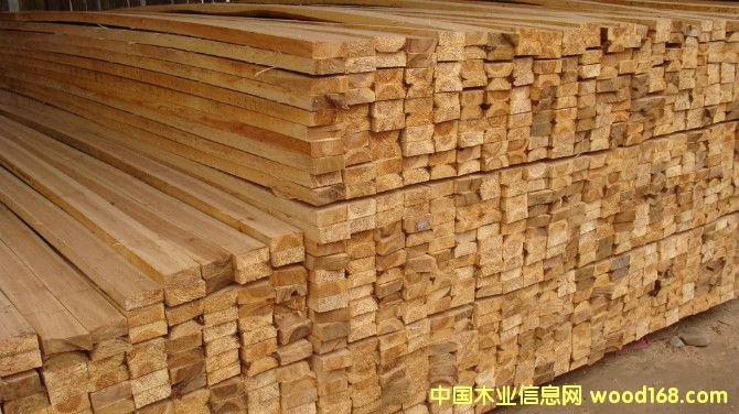 ������ľ