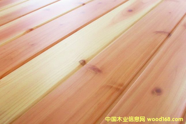 ��ɼ���w����(ɣ�ð�)