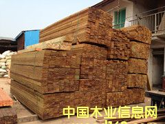 �������~��