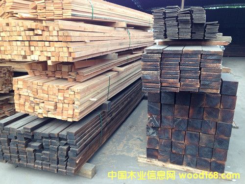 ̼��������