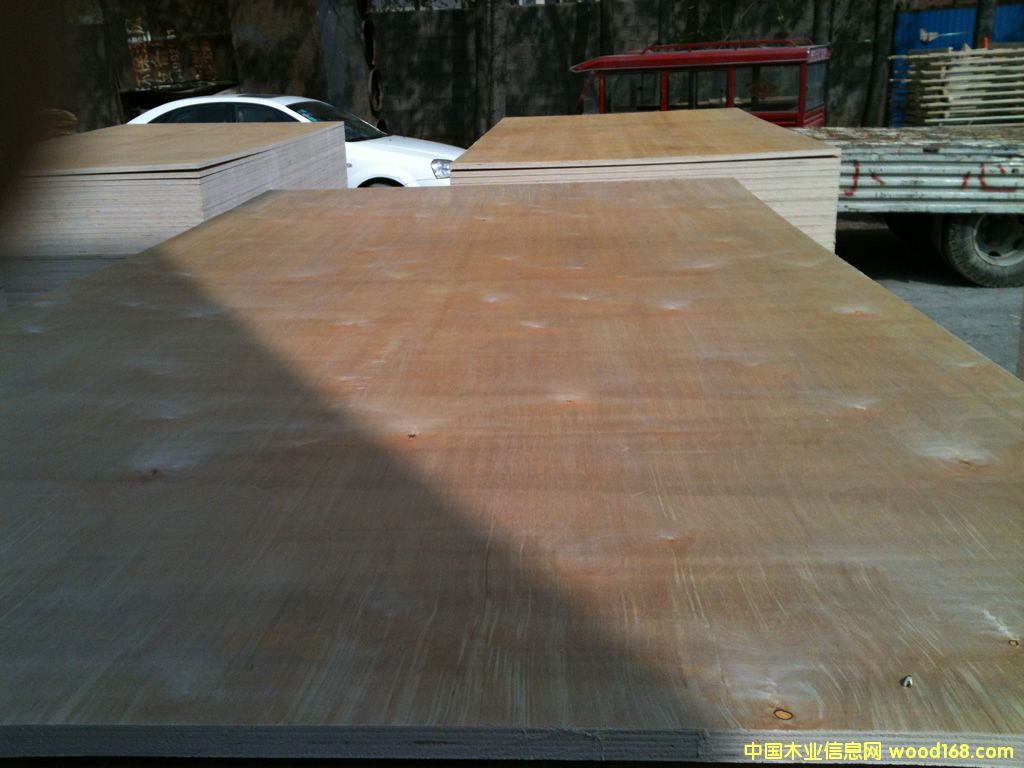 ��ľ�z�ϰ�