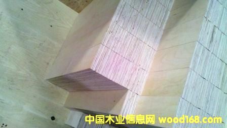 ��ľ���������ϣ����У���Ԕ����B