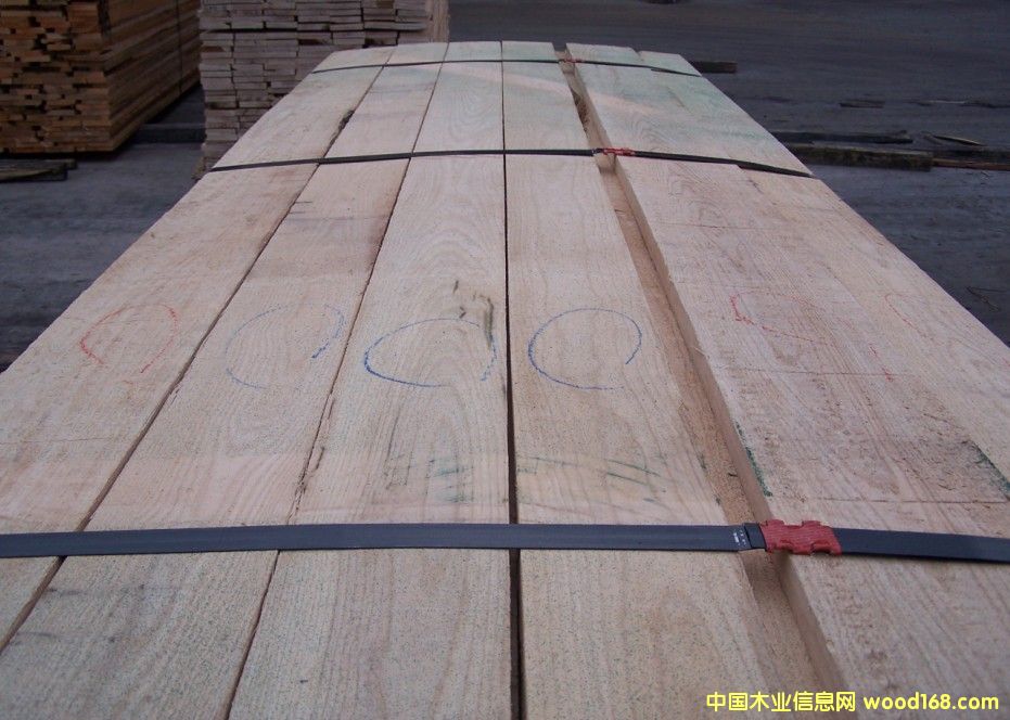 ������Ϟľ