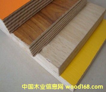 �v�R�����B��-���l���B��