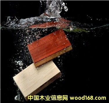 �Q�����B(t��i)�壬�������B(t��i)��