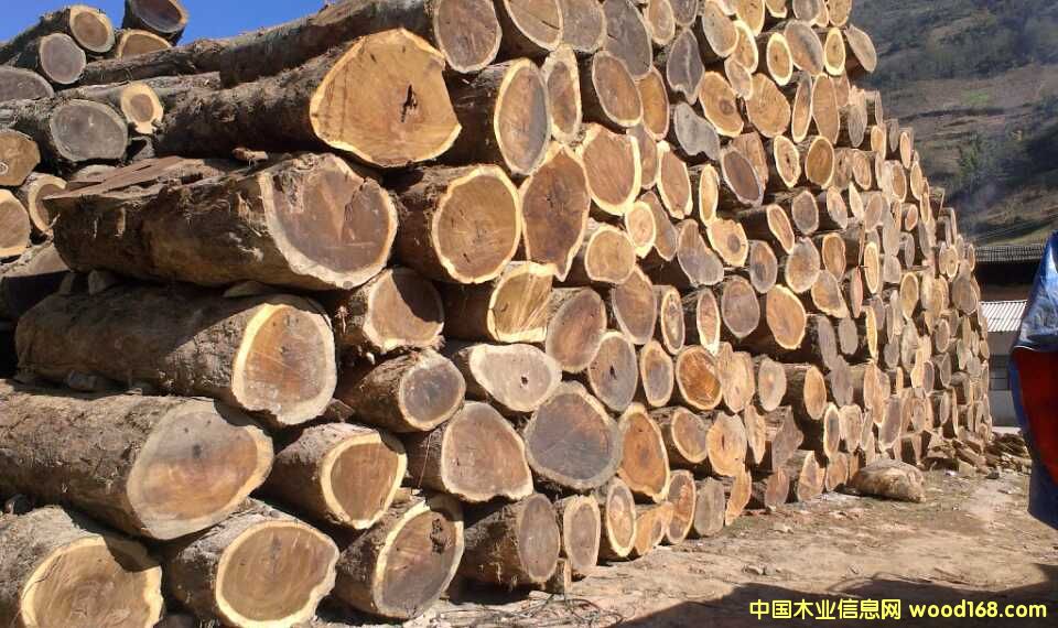 �S���ԭľ�����_�塢���