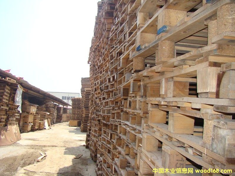 ����ľ�|�бP