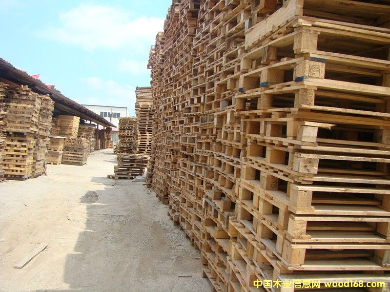 ����ľ�|�бP