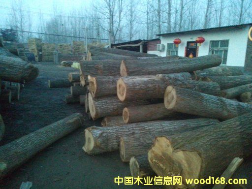 [��] �����������ϰח�ľ��ɰ��