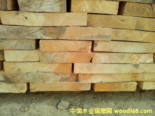 [��] �����������ϰח�ľ��ɰ��