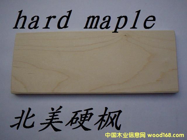 Ӳ��ľС��Ʒ