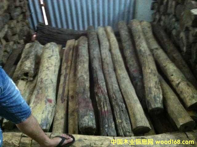 �ϓ�t��֦����ֺ�S̴����Ԕ��(x��)��B