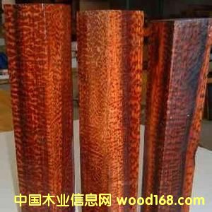 �߼yľ��Ԕ����B