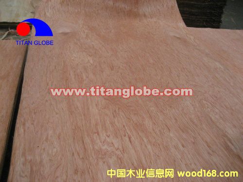 Face Veneer - Titan Globe��Ԕ����B