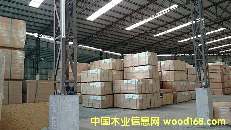 PATINNA̫��Ƶ�Ԕ����B