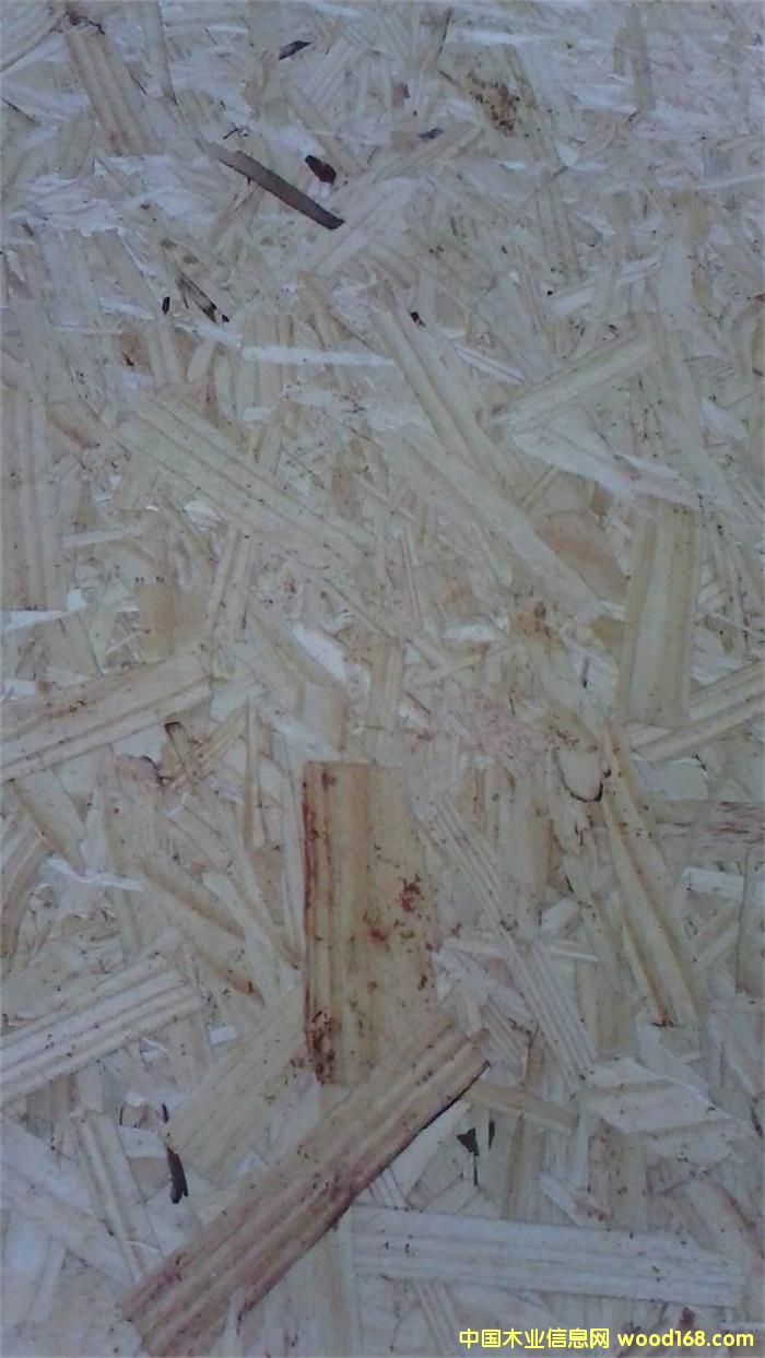 [��] �M�ښW�ɰ�