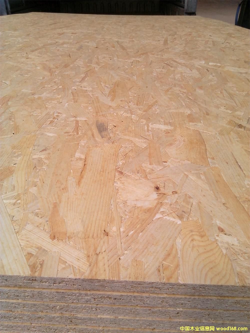 ���M�ښW�ɰ�