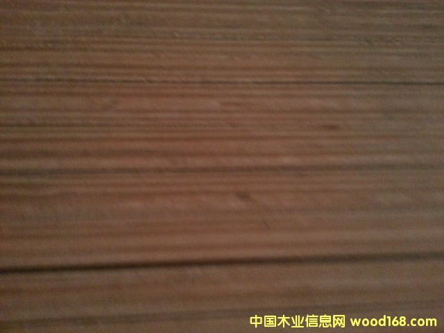 ��ľ���Ӱ��Ԕ����B