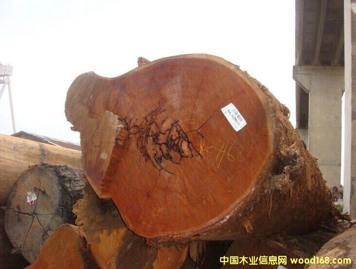 ����(y��ng)�Sɰľԭľ���̓r(ji��)��ؐ �޸�