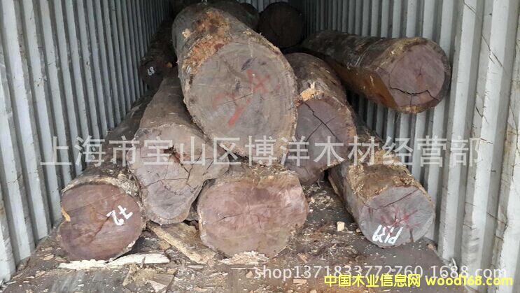 ����֦��Ԕ����B