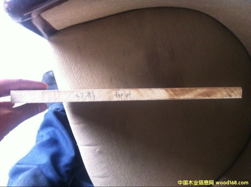 �������B(t��i)���Ԕ����B