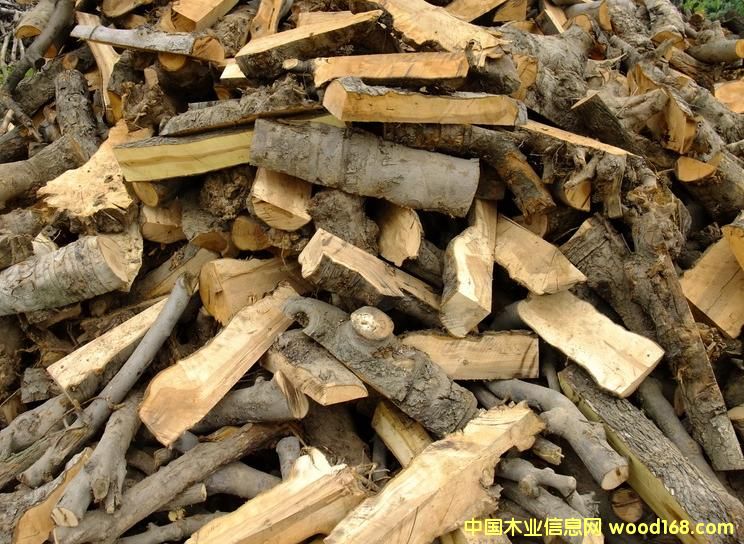 ����O��ľ���_ľ���Ԕ����B