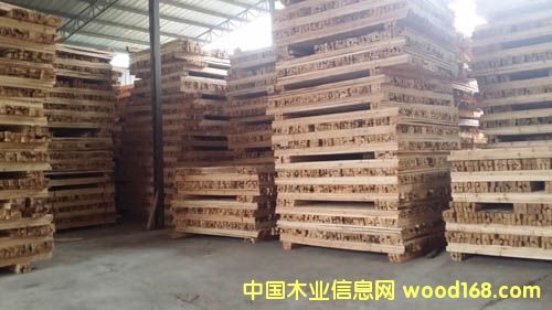 ����ѩ�ɡ����M(j��n)��ľ��ľ�����W���ġ��L(zh��ng)ɳ����ѩ���N�۵�Ԕ��(x��)��B