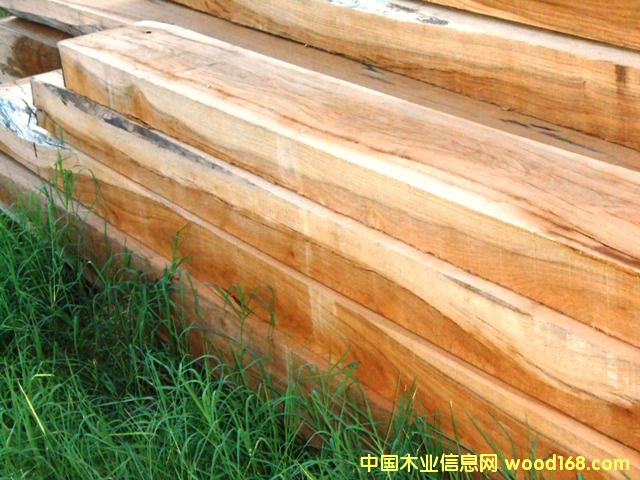 ������֦��Ԕ����B