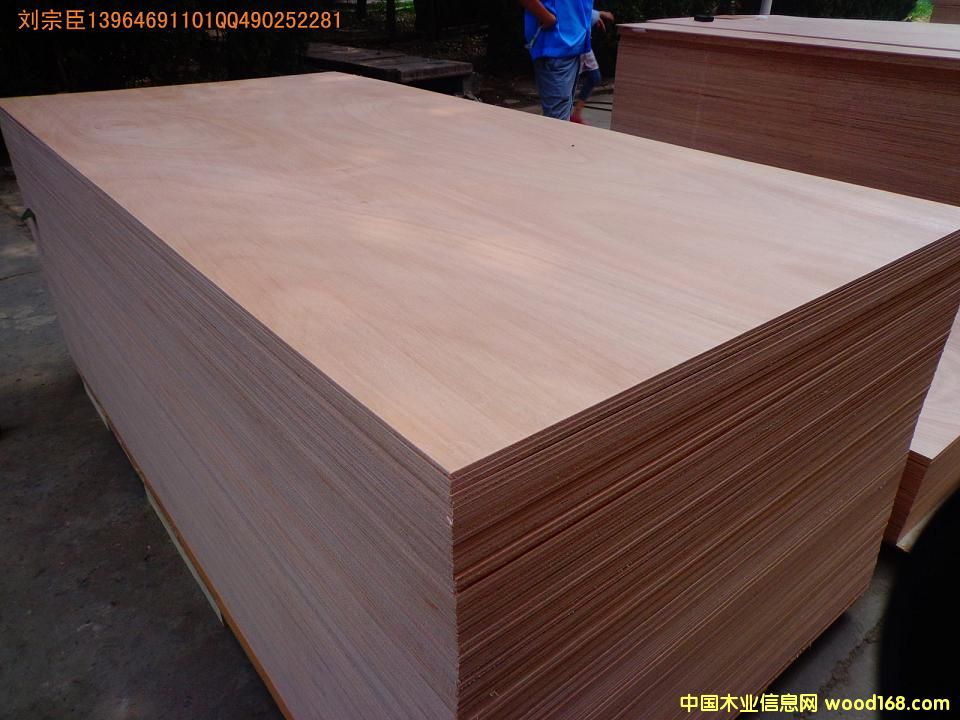 ��ľ�z�ϰ��Ԕ��(x��)��B