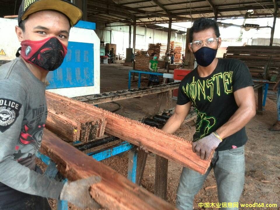 ����䏲ĵ�Ԕ��(x��)��B