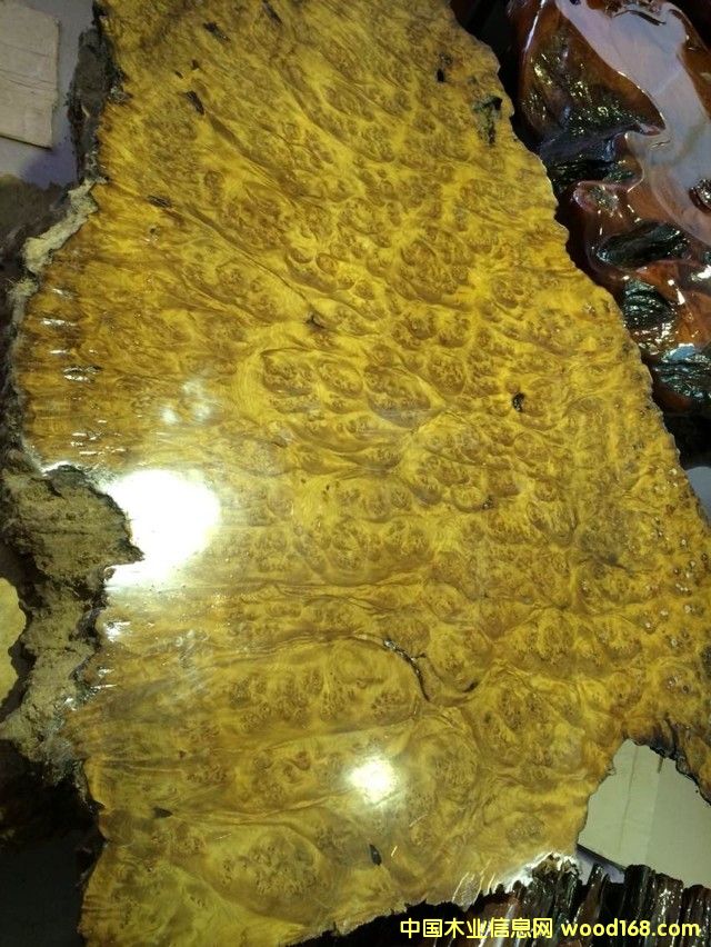 ���Ͻ�z骘�������Ԕ����B