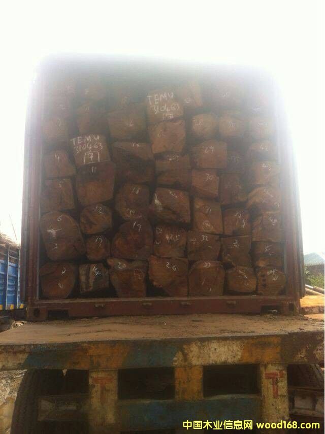 �����၆�������Ԕ��(x��)��B