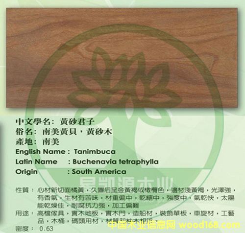 ����-�Sؐ��Ԕ����B