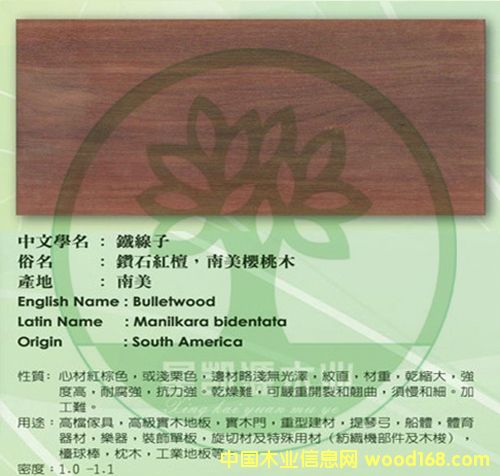 ����-�t̴��Ԕ����B