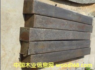 �V����ľ��Ԕ����B