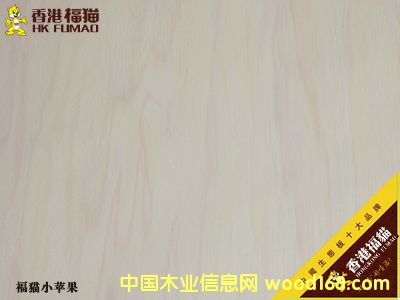 ��۸�؈С�O��2��Ԕ����B