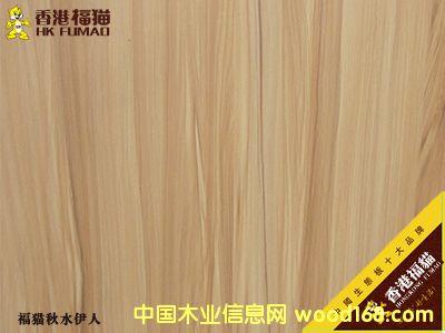 ��۸�؈��ˮ����2��Ԕ����B