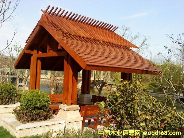 ����˹���T����˹