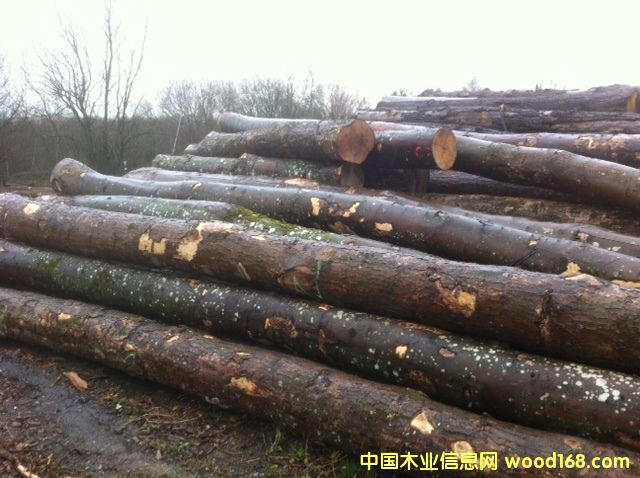 �·��W��ABC����ľԭľ��Ԕ����B