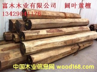 ��~�S̴��Ԕ����B