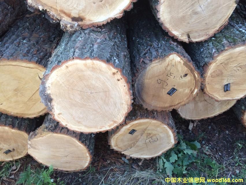 ����ԭľ��Ԕ����B